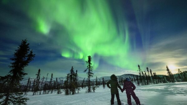 green lights